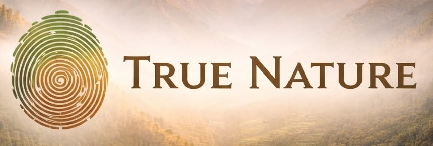 True Nature